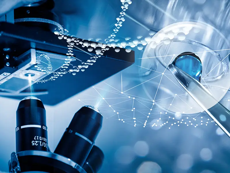 DB-FIB 双束聚焦离子束显微镜