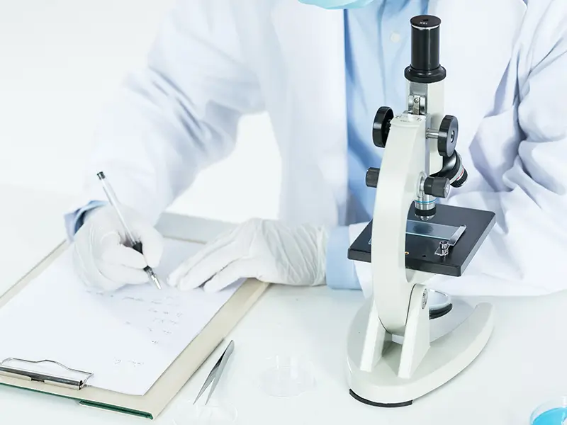 晶圆劈裂设备及 SEM 拍摄